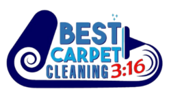 Best Carpet Cleaning 3-16